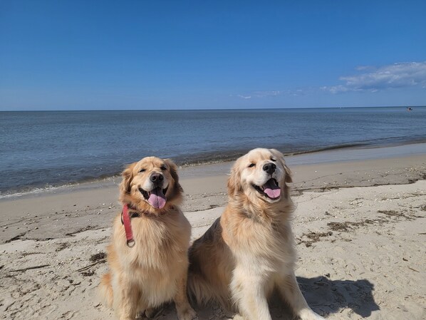 Beach nearby