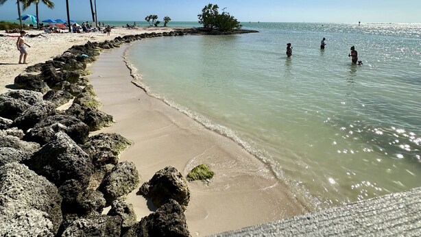 Een strand met helder water, palmbomen en een rotsachtige kustlijn.