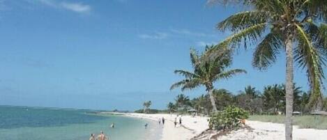 Playa en los alrededores, camastros y toallas de playa