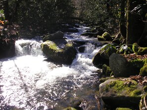 A natural stream flowing over rocks in a forested area. - 2BR cabin on Lg Mt creek in the heart of the Great Smoky Mountains National Park (cosby)