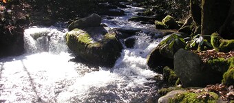 2BR cabin on Lg Mt creek in the heart of the Great Smoky Mountains National Park