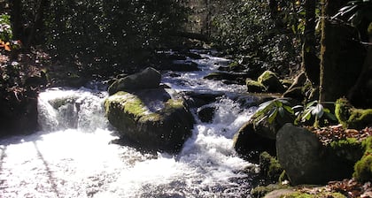 Savuvuoret 20 min Gatlinburgiin purolla, puistoalueella, alle 100 dollaria Lemmikkieläimet OK!