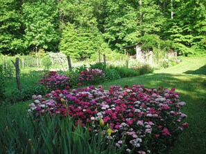 Property grounds - 2BR cabin on Lg Mt creek in the heart of the Great Smoky Mountains National Park (cosby)