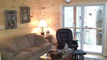 Télévision, cheminée, lecteur de DVD, livres