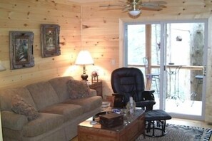 TV, fireplace, DVD player, books