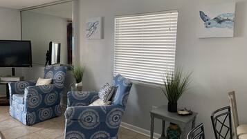 Flat-screen TV, DVD player