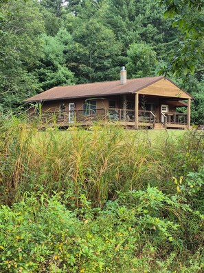 A wooden cabin with a porch, surrounded by dense greenery and tall grasses.