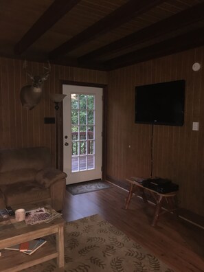 Televisión, chimenea, reproductor de DVD y libros 