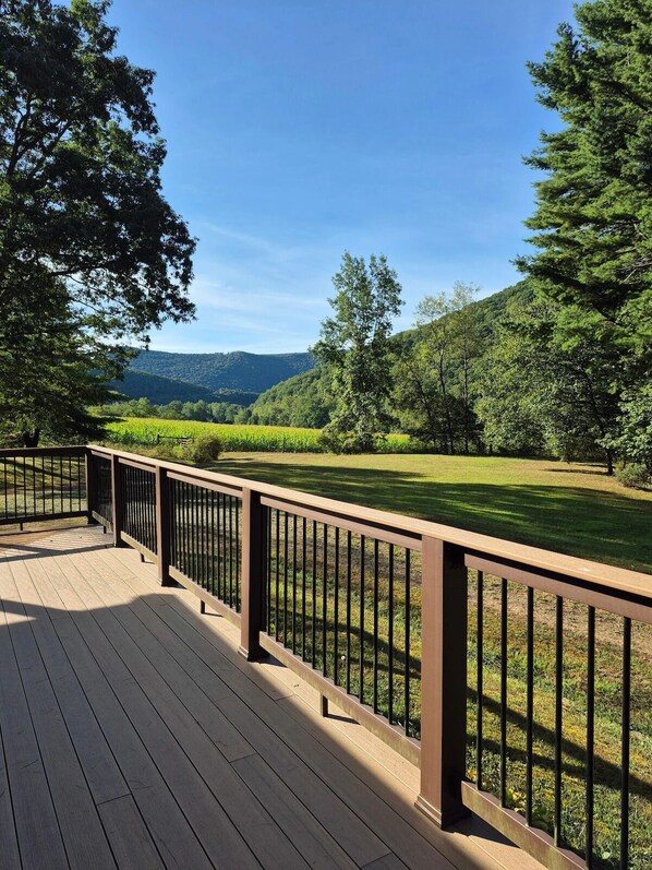 A wooden deck with a metal railing overlooking a green landscape with trees and a hill in the distance.