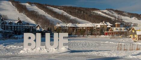 A snow-covered landscape with a sign reading "BLUE" in the foreground.