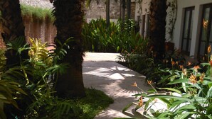 Um caminho ladeado por vegetação exuberante e palmeiras, que conduz a um edifício com grandes janelas.