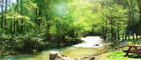 Áreas de la propiedad