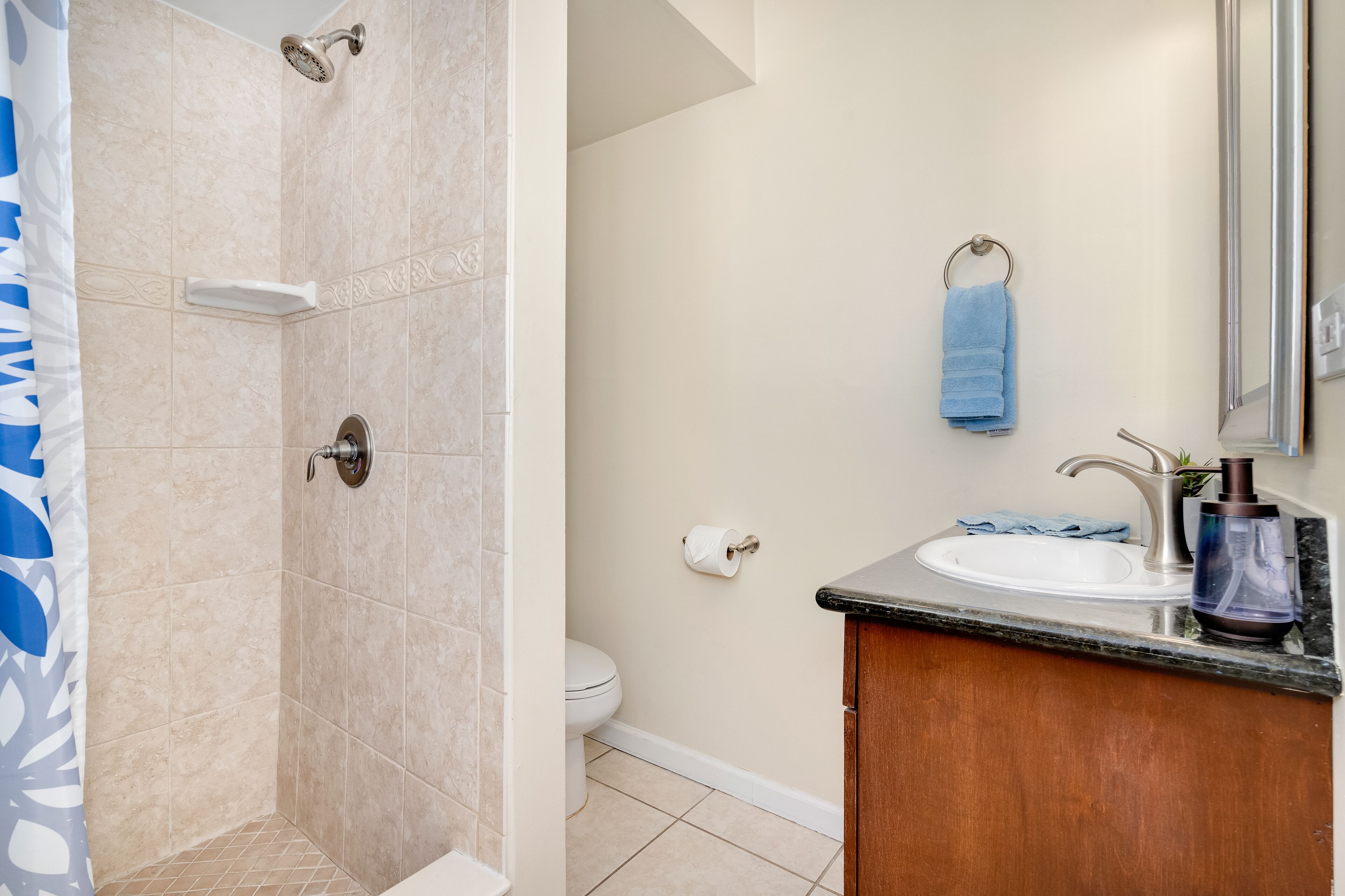 Hair dryer, towels, soap, toilet paper