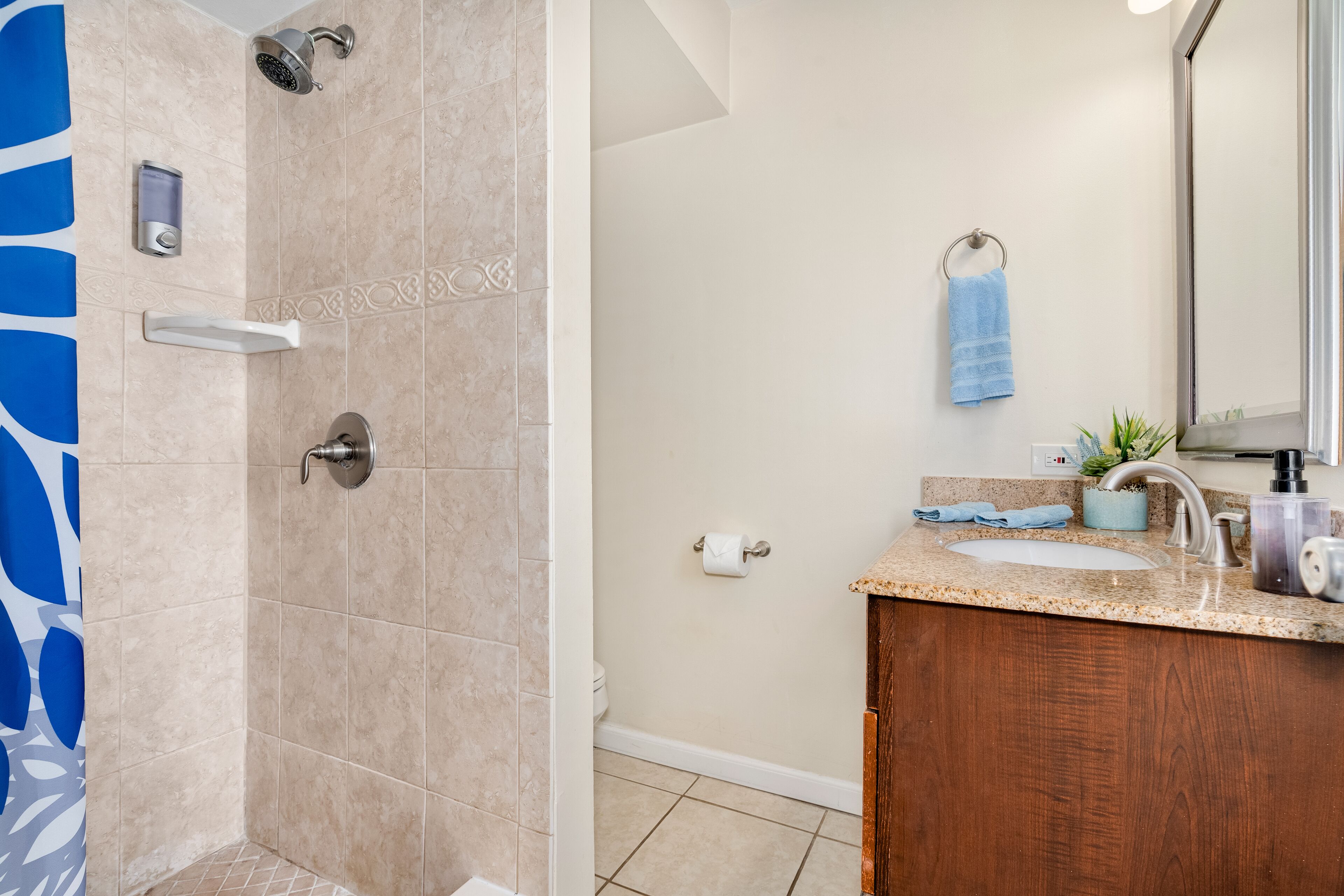 Hair dryer, towels, soap, toilet paper