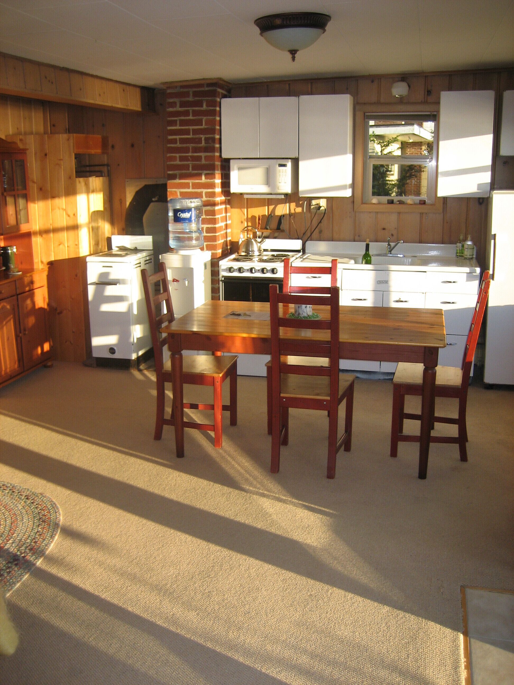 Top 8 PetFriendly In Whidbey Island, USA Updated 2024