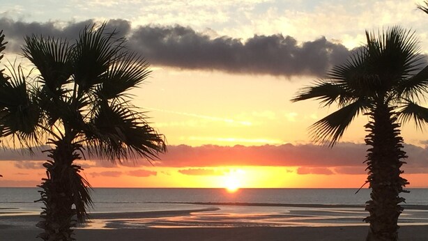 A beach with palm trees and a sunset. - Beautiful Beach Condo with Sea Views in Beach/ Golf Resort with Wifi (San Felipe)