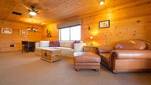 電視、壁爐、DVD 播放機、書籍