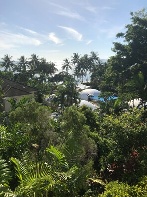 Property grounds - Luxury Beach Front Accommodation (Trinity Beach)