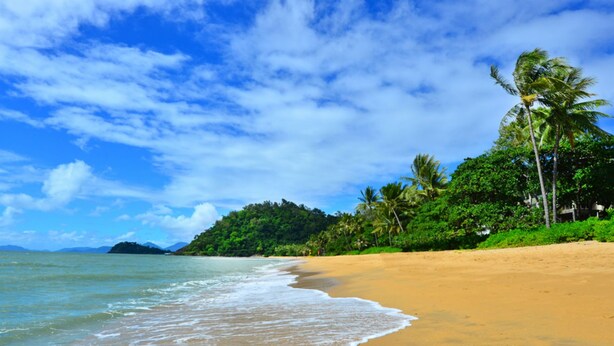 A beach with clear blue water, sandy shore, and lush greenery. - Luxury Beach Front Accommodation  (Trinity Beach)