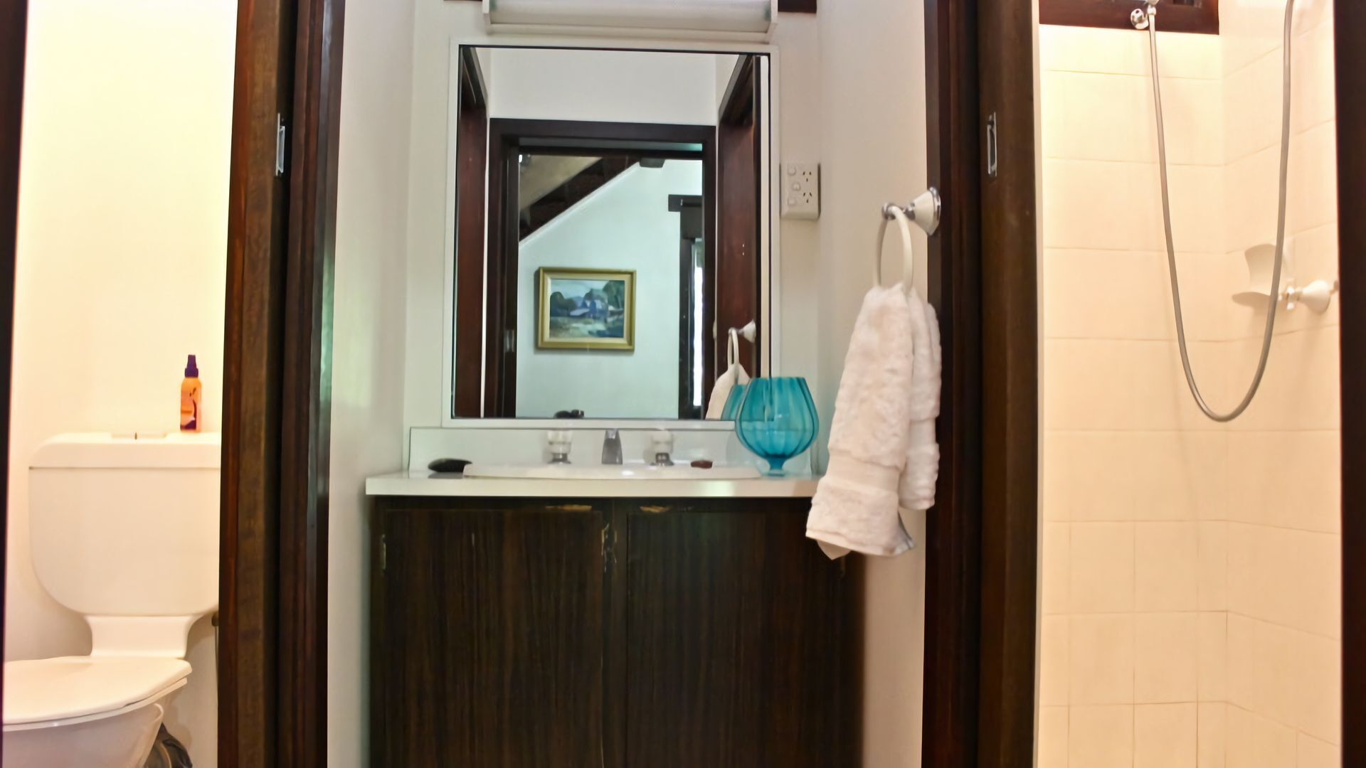 Shower, hair dryer, towels