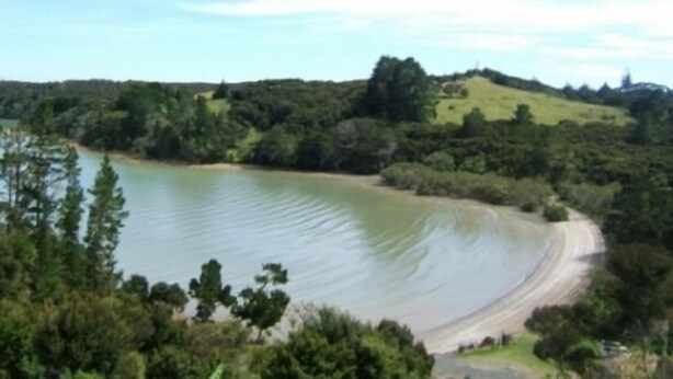 A large body of water surrounded by hills and dense greenery. - Private and pet friendly lockwood house (Okiato)