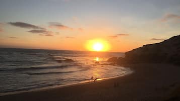 Lettini da mare