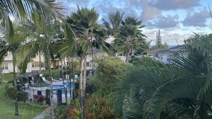 Un jardin luxuriant, agrémenté de palmiers et doté d’un espace piscine.