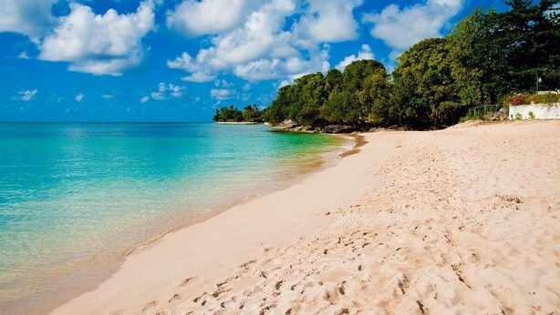 Una playa con aguas turquesas cristalinas, orilla de arena y densa vegetación verde al fondo.