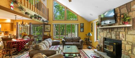 Smart TV, lareira, DVD player, livros