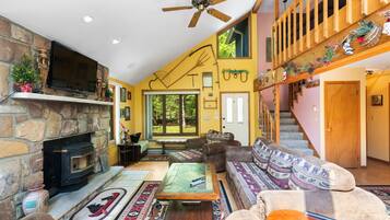 TV connectée, cheminée, lecteur de DVD, livres