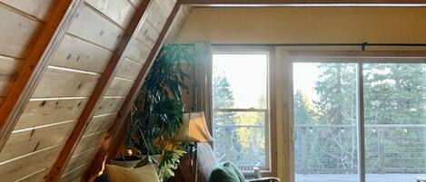 TV connectée, cheminée, Netflix, livres