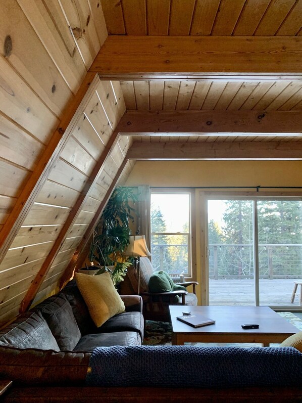 Smart TV, chimenea, Netflix, libros