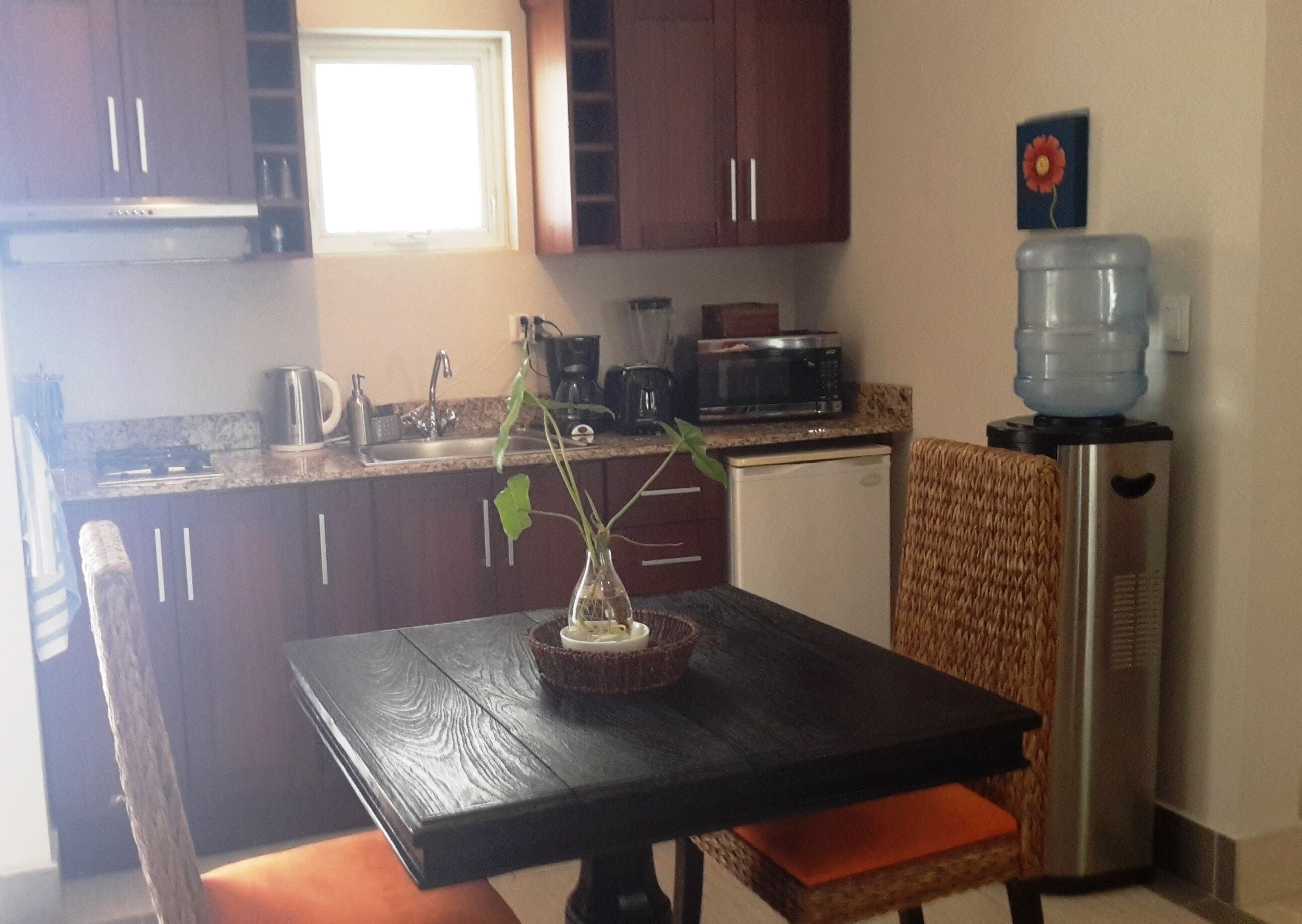 10 Best LongTerm Rentals In Cabarete, Dominican Republic Updated