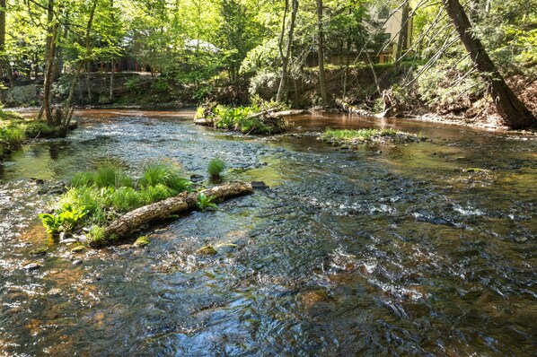Property grounds - Creekfront Rustic Log Cabin (Bushkill)