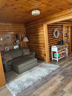 Smart TV, chimenea, reproductor de DVD y libros 