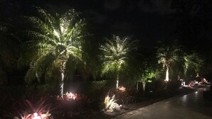 A nighttime view of a pathway lined with palm trees and illuminated plants.