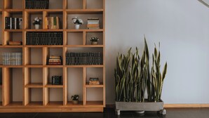 Uma estante de madeira com livros e objetos decorativos, uma planta em vaso e uma parede lisa.