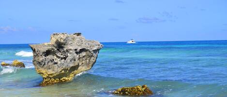 บริเวณภายนอก