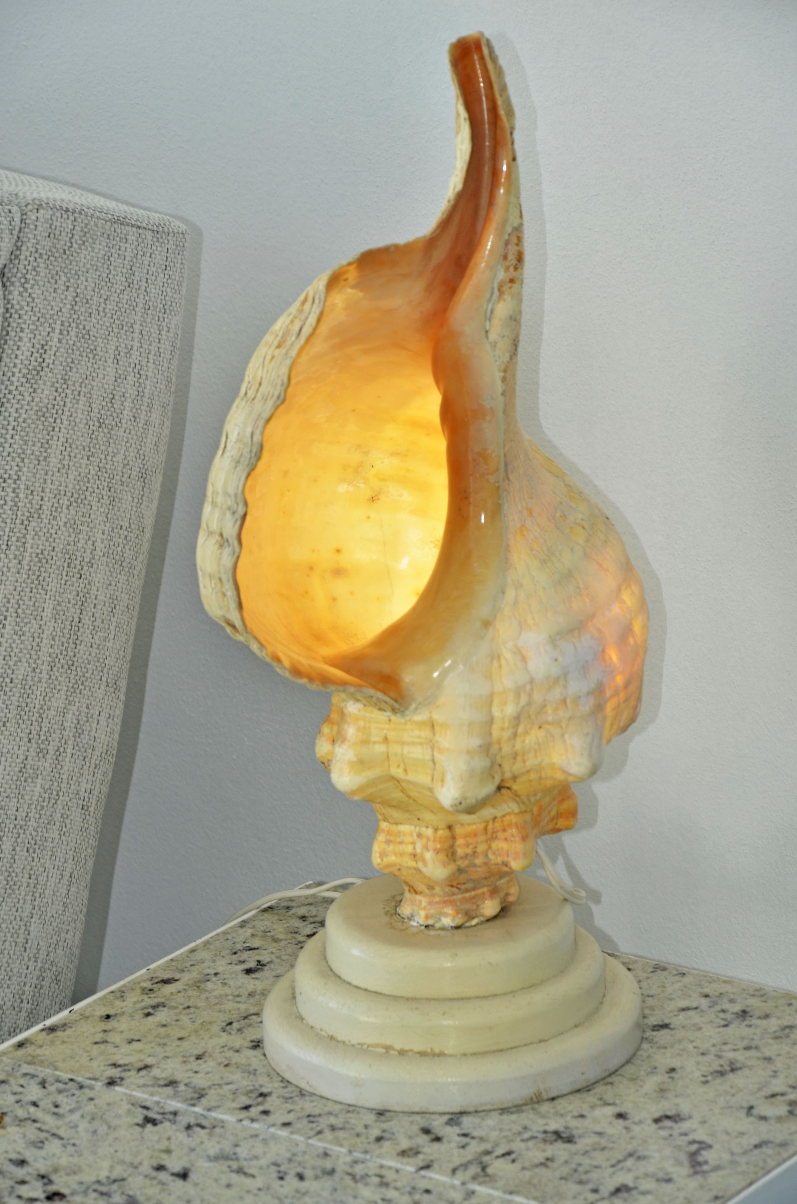 A shell-shaped lamp on a granite countertop.
