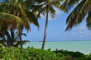 On the beach, sun loungers, beach towels - Beachfront large one bedroom studio, adjoining studio can be added to make 2/2. (Spanish Wells)