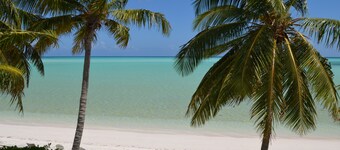 Beachfront large one bedroom studio, adjoining studio can be added to make 2/2.