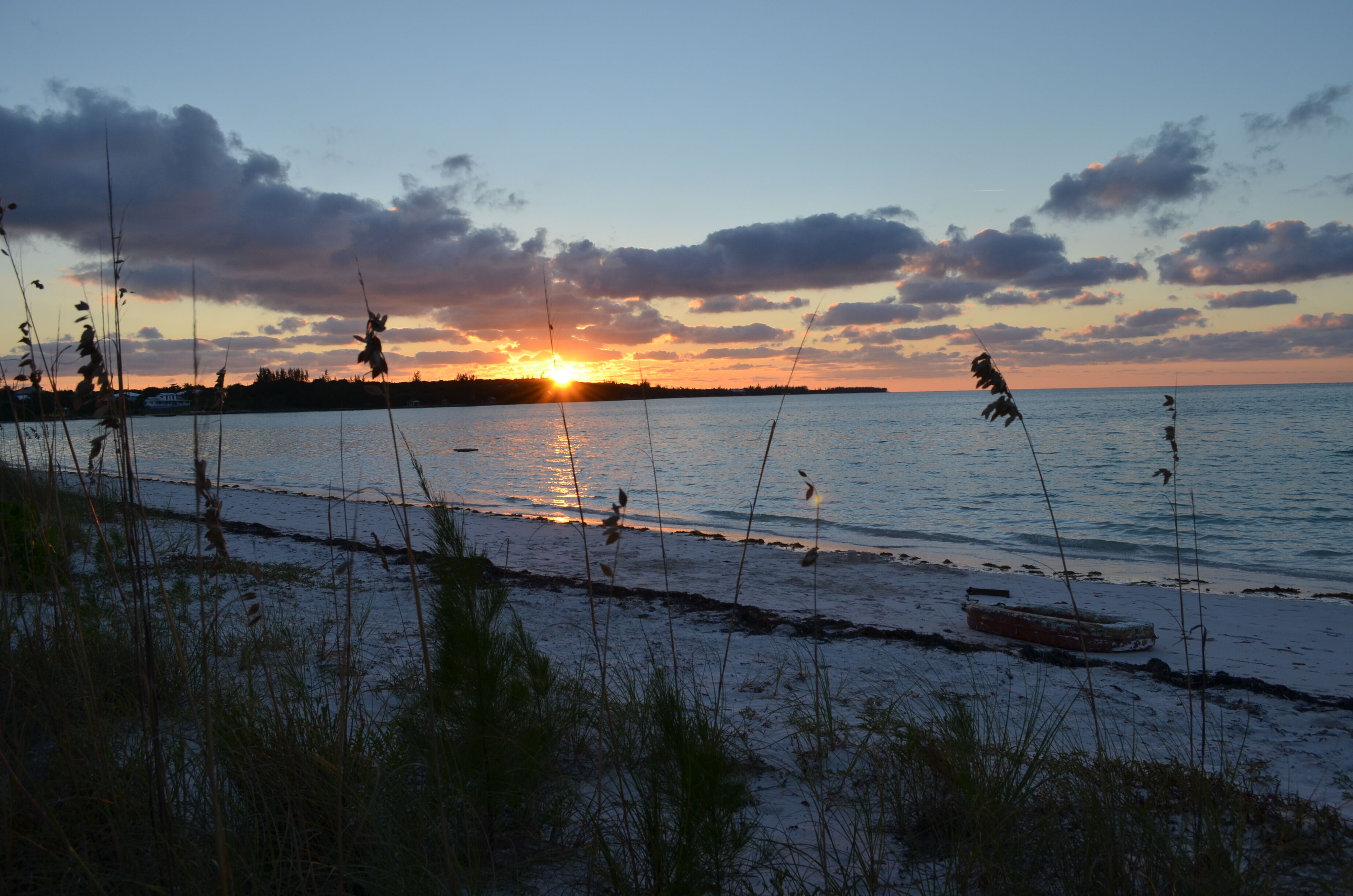 A beach at sunset with a boat on the shore and reeds in the foreground.
