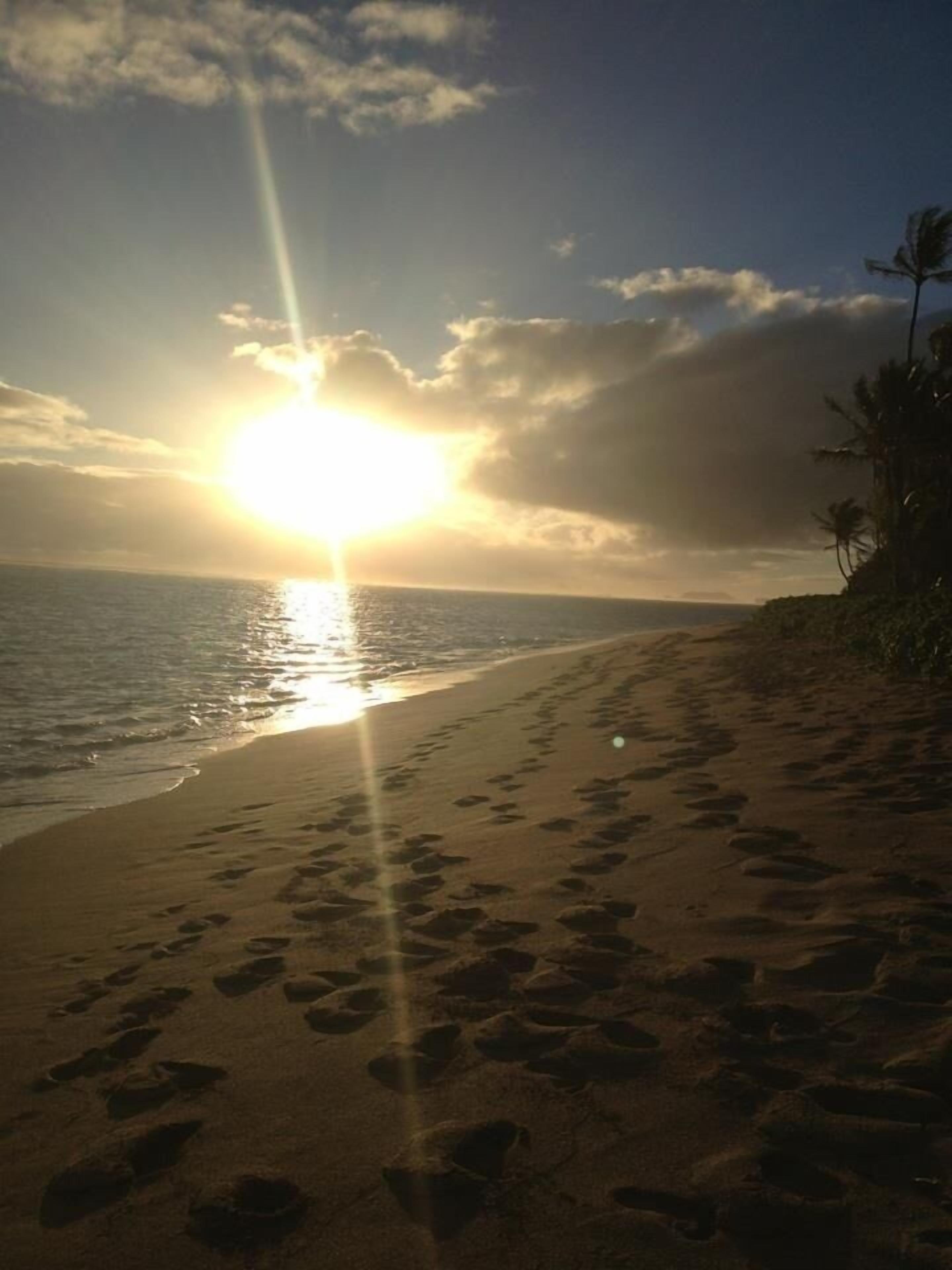 On the beach, sun loungers, beach towels