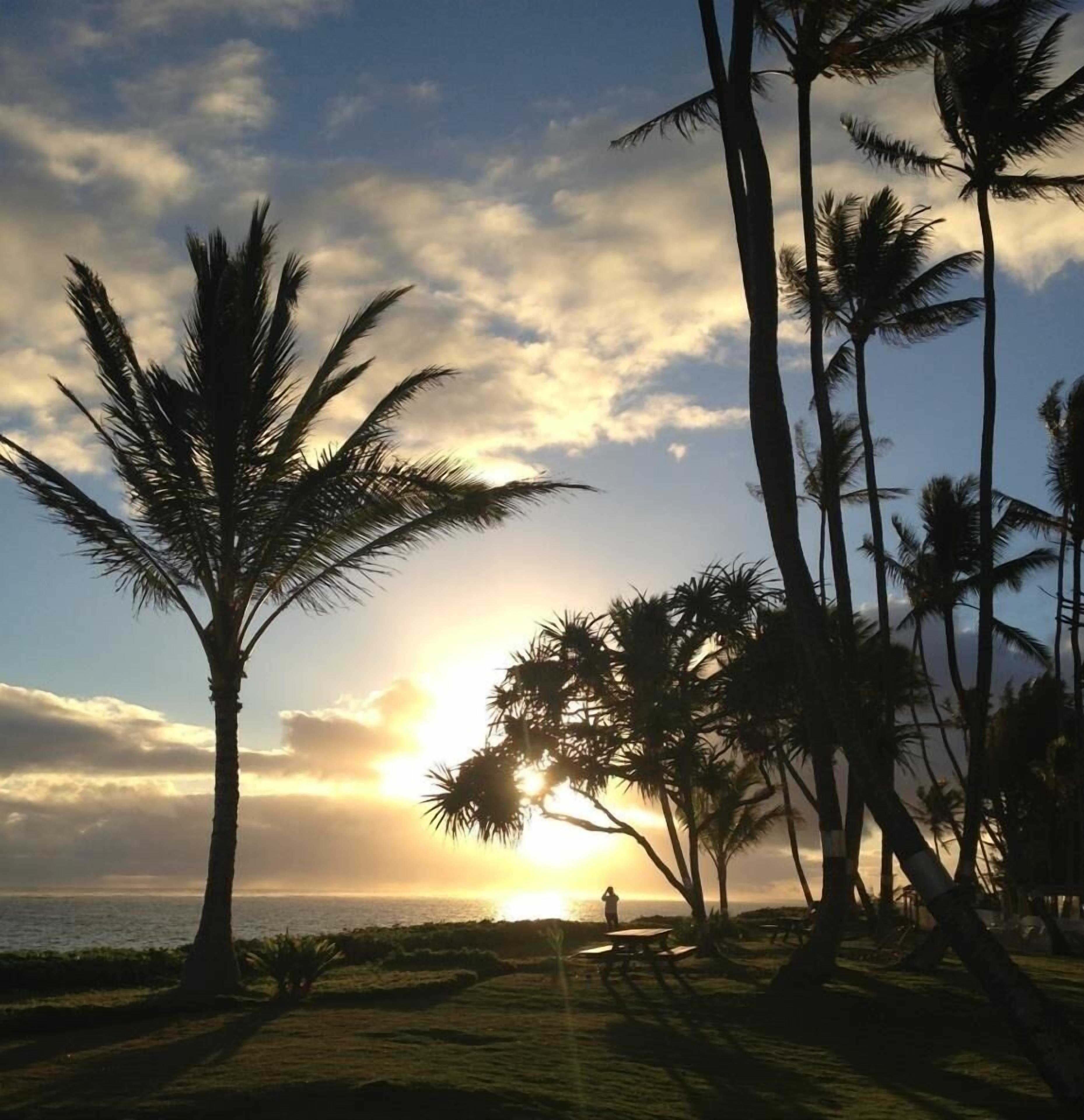 On the beach, sun loungers, beach towels