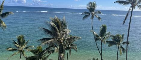 Accommodatie ligt op het strand, ligstoelen, strandlakens