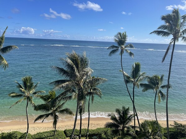 Plage, chaises longues, serviettes de plage