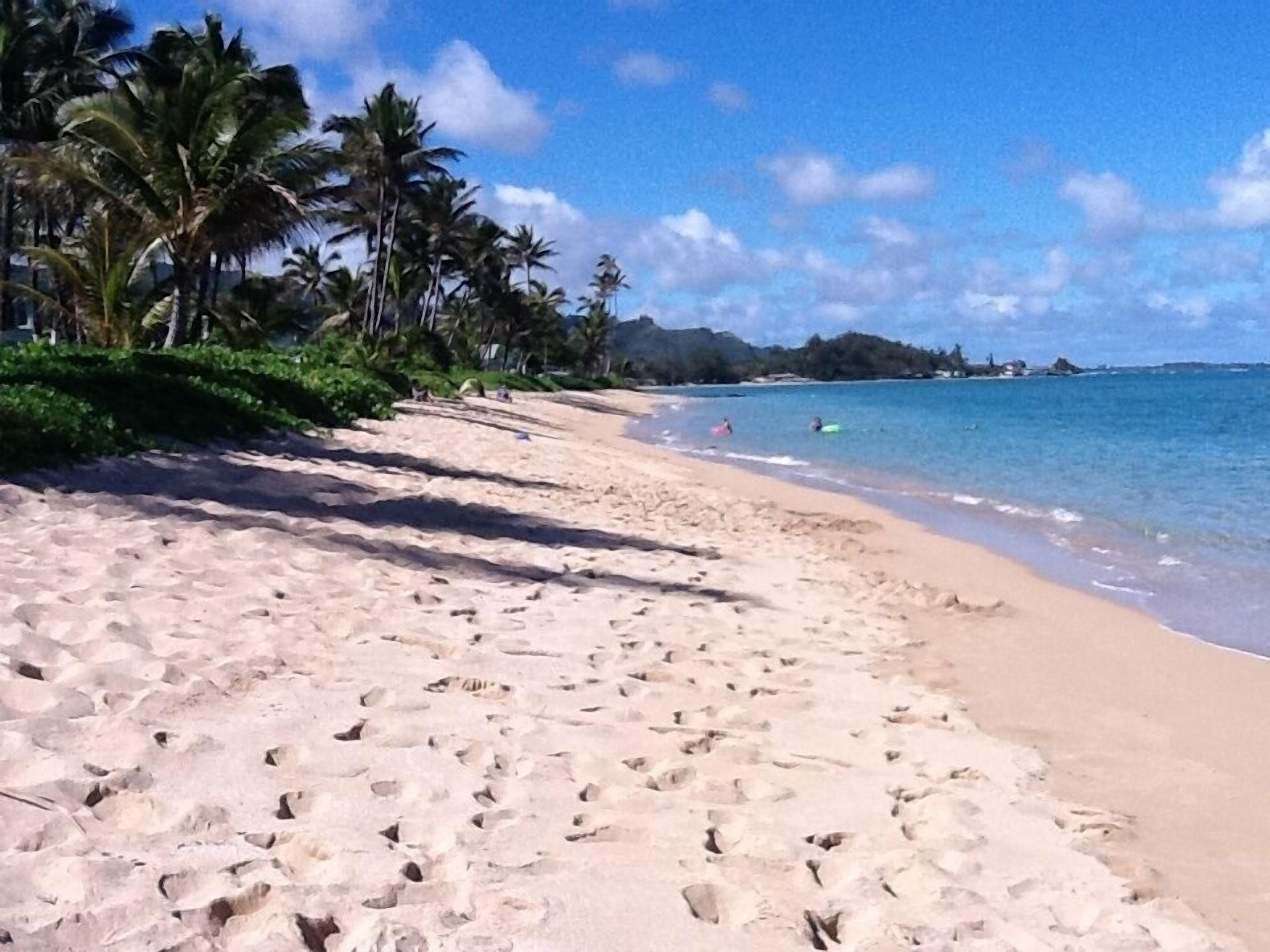 On the beach, sun loungers, beach towels