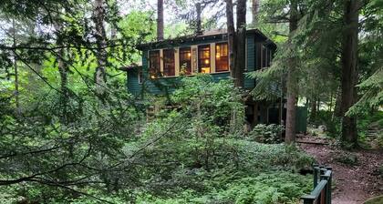 Storybook Waterfront Cottage; Close to Hidden Valley/ Seven Springs