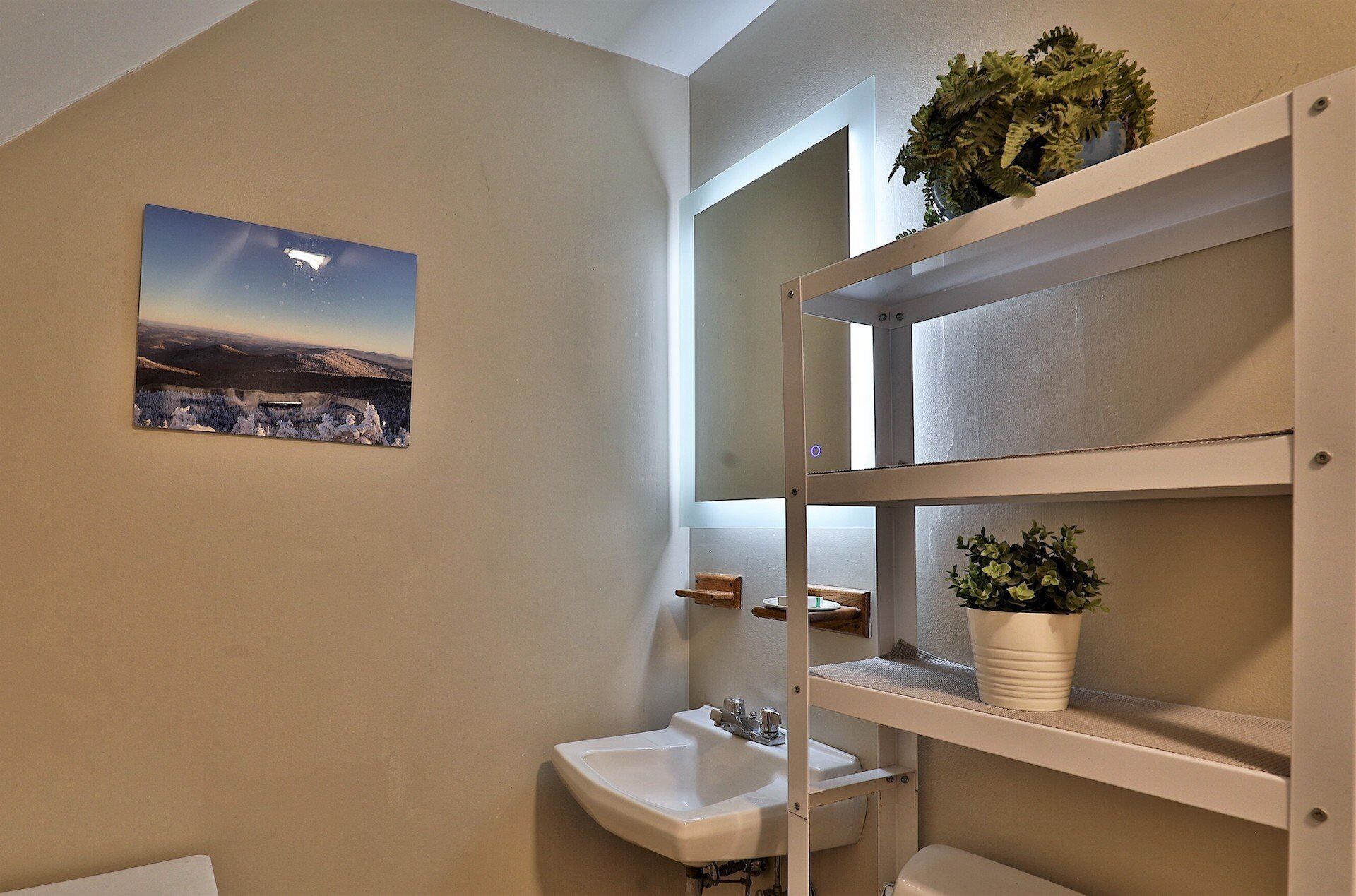 Une salle de bain avec un lavabo blanc, un miroir et une étagère sur laquelle est posée une plante en pot.