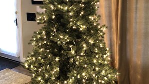 Ein mit Lichtern geschmückter Weihnachtsbaum in einem Raum mit beigen Vorhängen und einer Tür.
